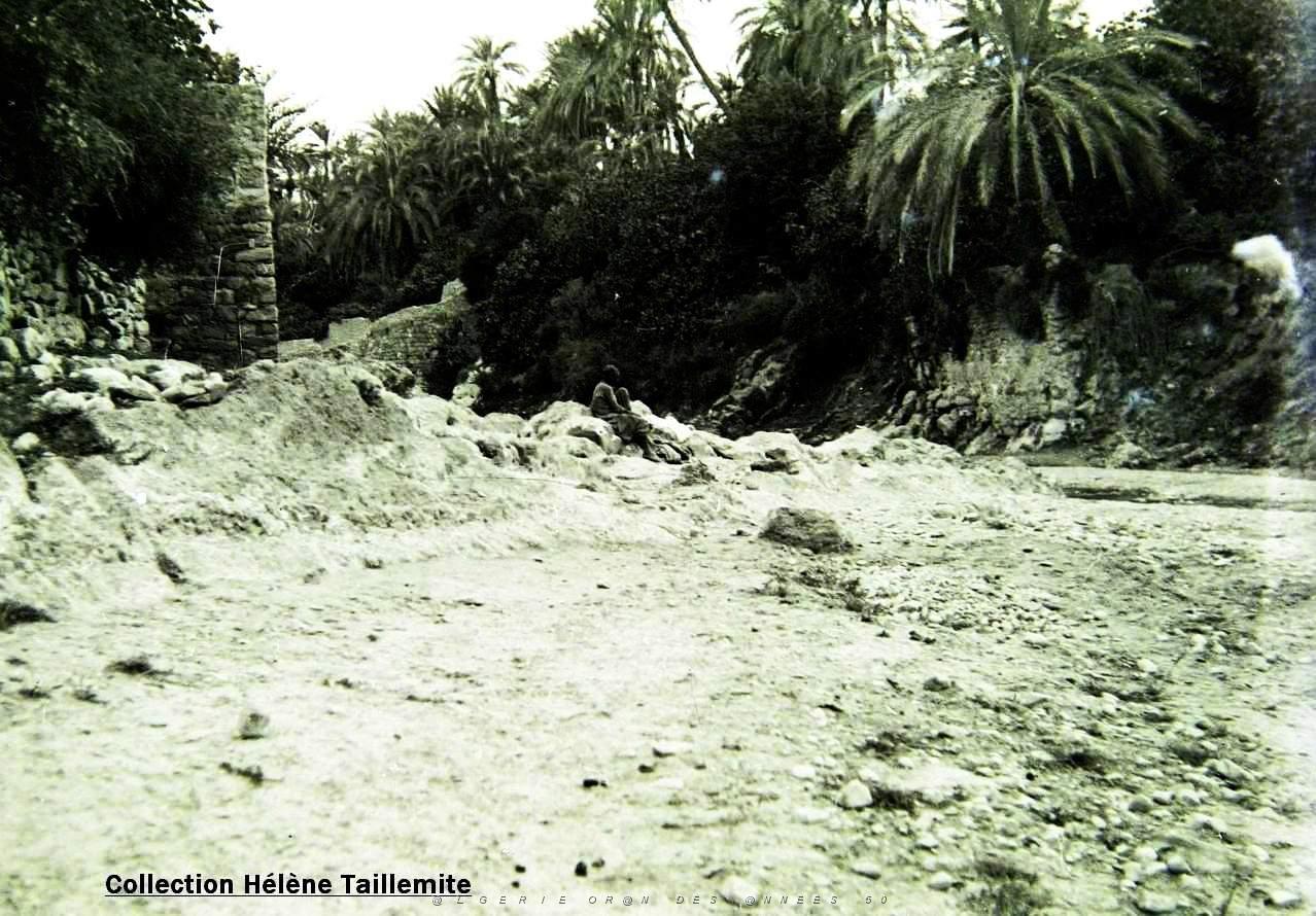 Images d'Algerie 242d.JPG